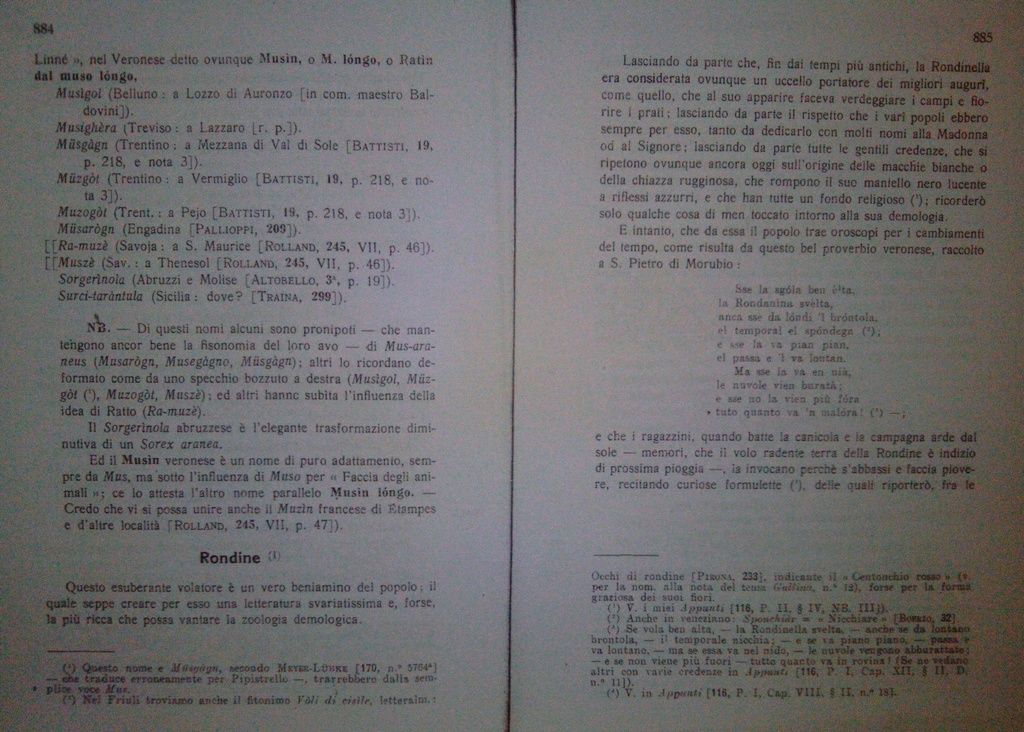 Garbini, A. (1925) Antroponimie ed omonimie nel campo della Zoologia popolare